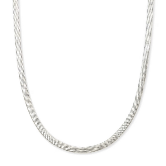 Kassie Chain Necklace in Silver