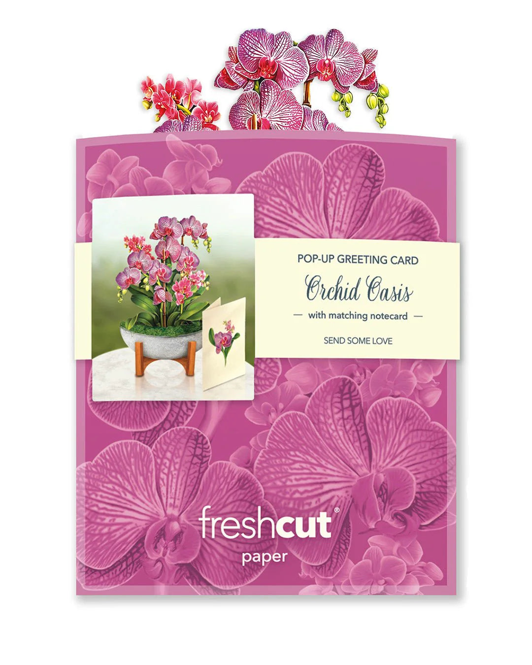 Mini Orchid Oasis Pop-up Card