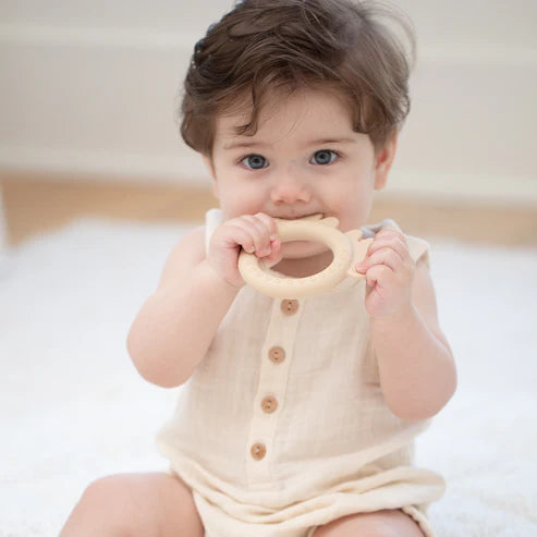 Moose Rattle Teether