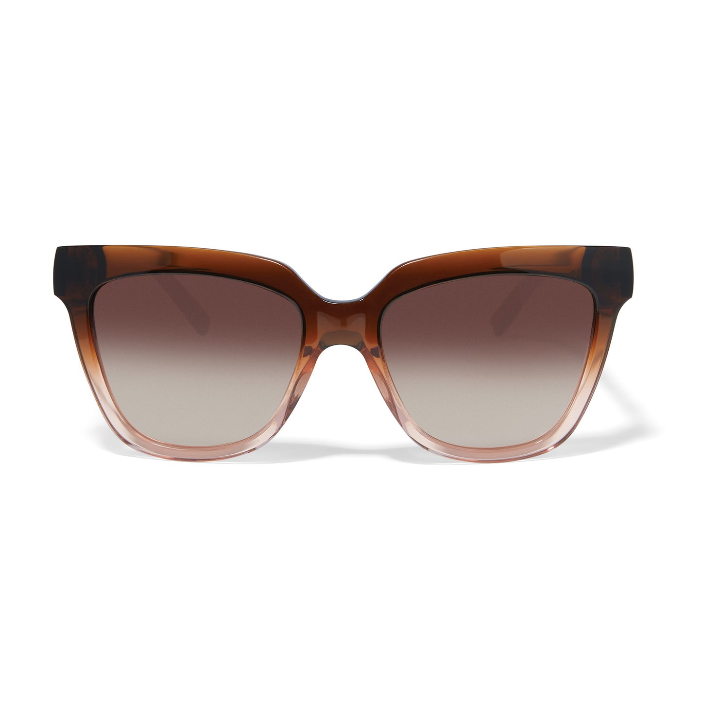 Interlok Infinity Sunglasses Tortoise