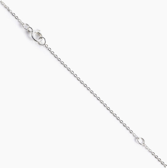 Ever Aster Sterling Silver Necklace Only