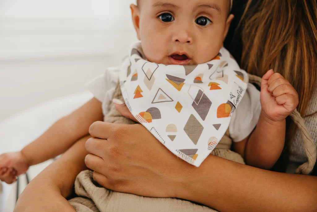 Bandana Bibs Set of 4 Swift