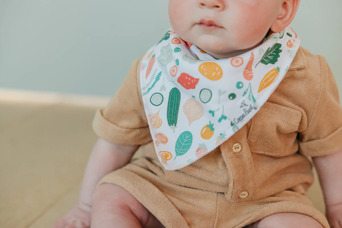 Bandana Bibs Set of 4 Veggies