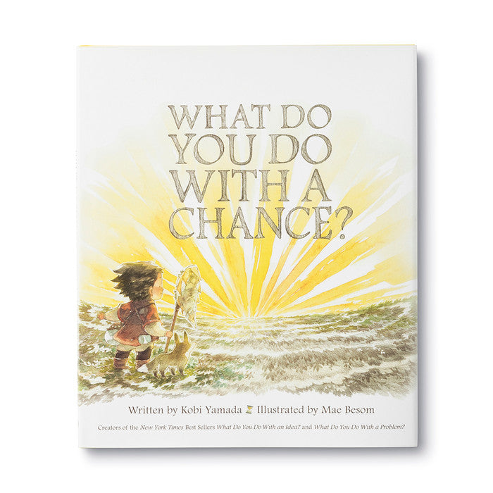 What Do You Do With A Chance Book