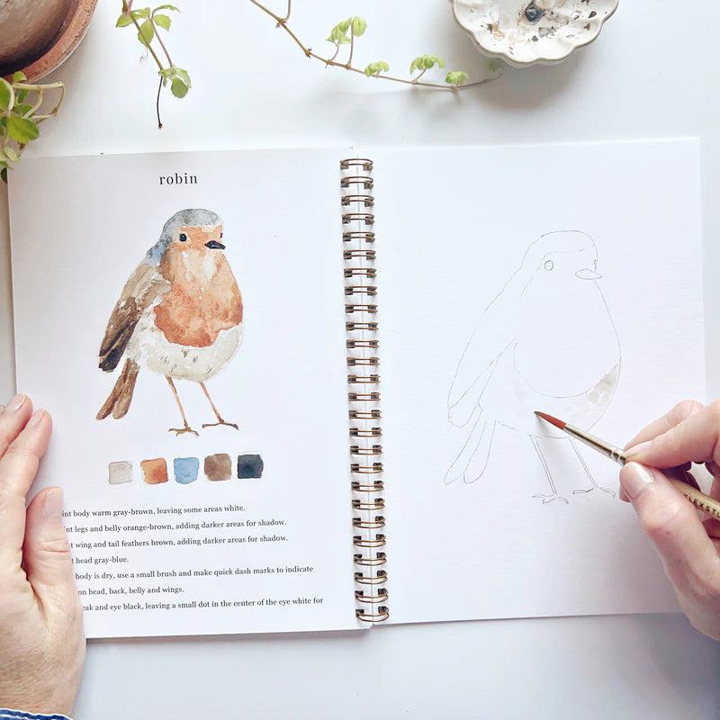 Watercolor Workbook Birds